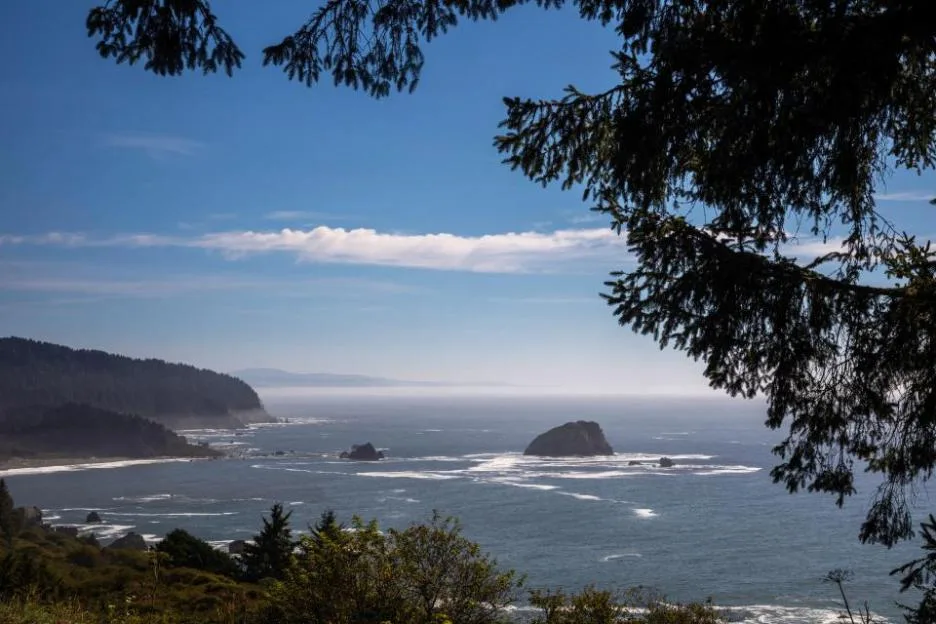 The Pacific Ocean in northern California's Del Norte Coast Redwoods State Park.