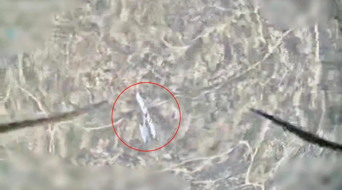 Russian Drone Engages in Mid-Air 'Jousting' as Ukraine's UAVs Target Their Own Allies