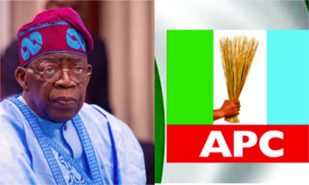 '2027: Tinubu Celebrates Grassroots Politics and Internal Democracy at APC Primaries'