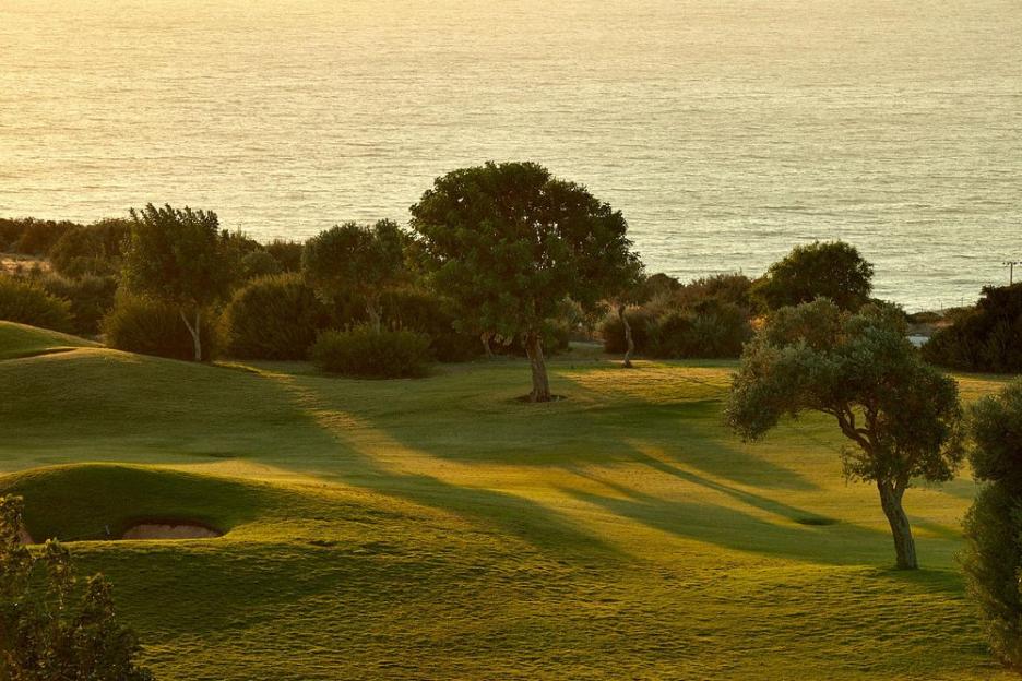 Golf course with trees and the sea in the background at sunset.