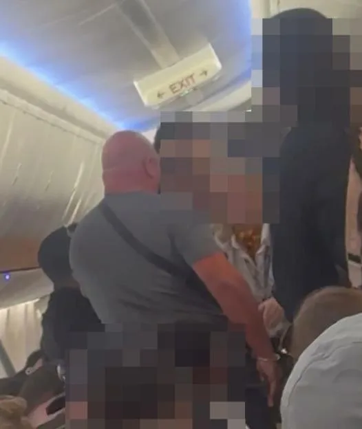 VIDEO: 'Sit down!' Ryanair flight to Ibiza descends into chaos as fight kicks off between passengers