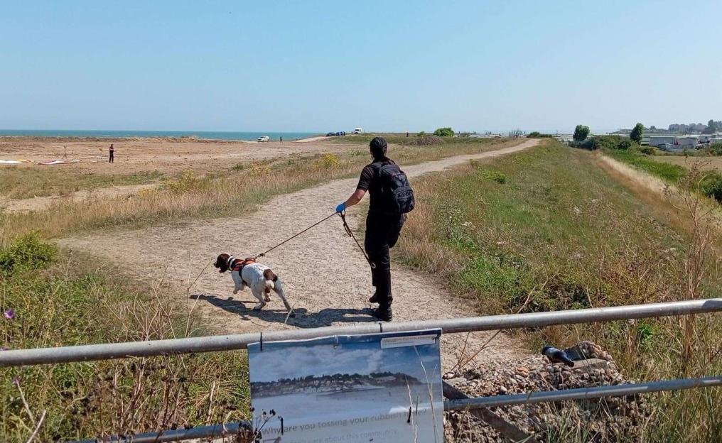 A person walking a dog on a leash along a dirt path next to a beach.