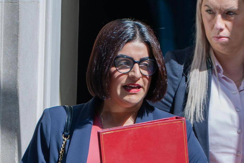 Home Secretary Creates Chaos by Banning Immigration Minister from Official Papers Instead of Firing Him