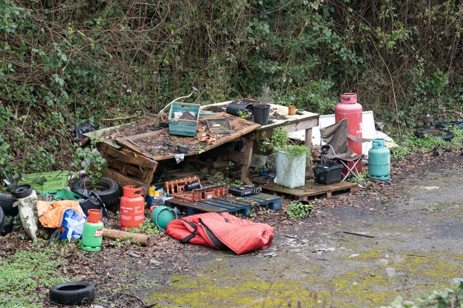 NINTCHDBPICT001060486537