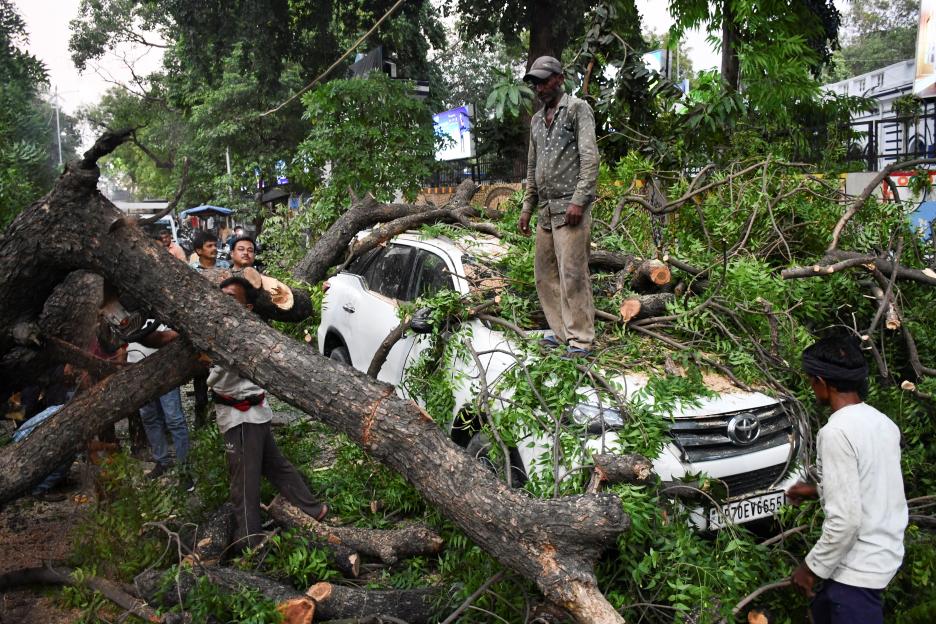 People remove a tree fallen over a car, during a heavy storm, in Prayagraj, in the northern state of Uttar Pradesh