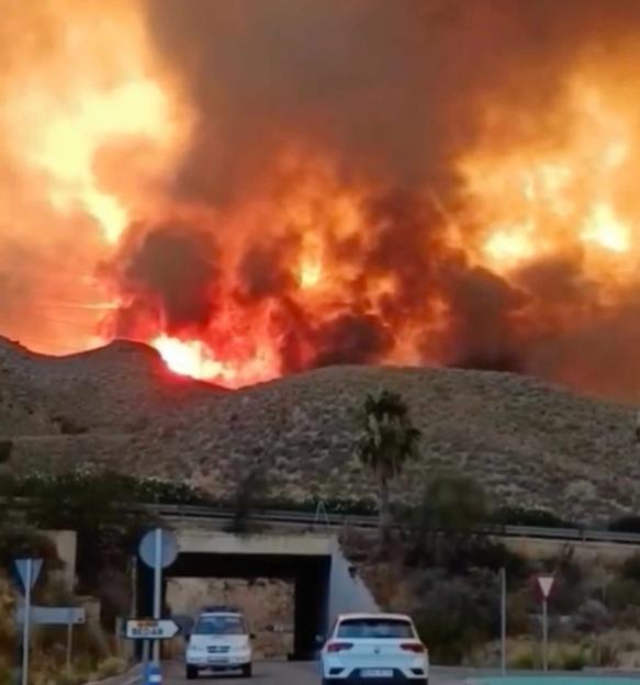 **FULL COPY BY NATALIA PENZA natypenza@gmail.com**.-TEL: +34 659 567 821** .At least 12 people have died in a wildfire in Los Gallardos in the southeastern province of Almería