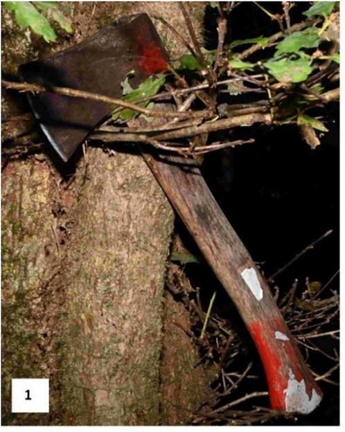 An axe with a red and white handle found near graves.