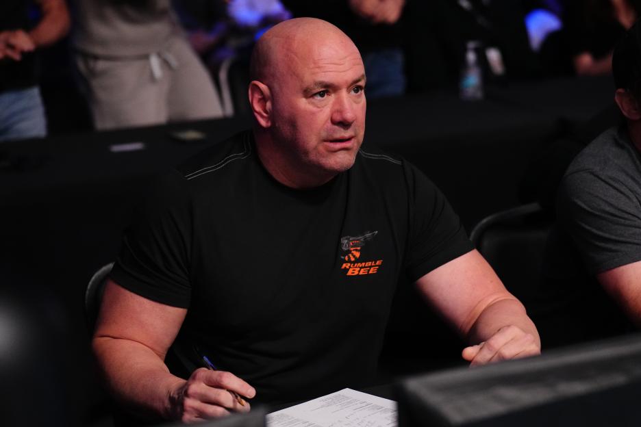 UFC President and CEO Dana White reacts during a fight.
