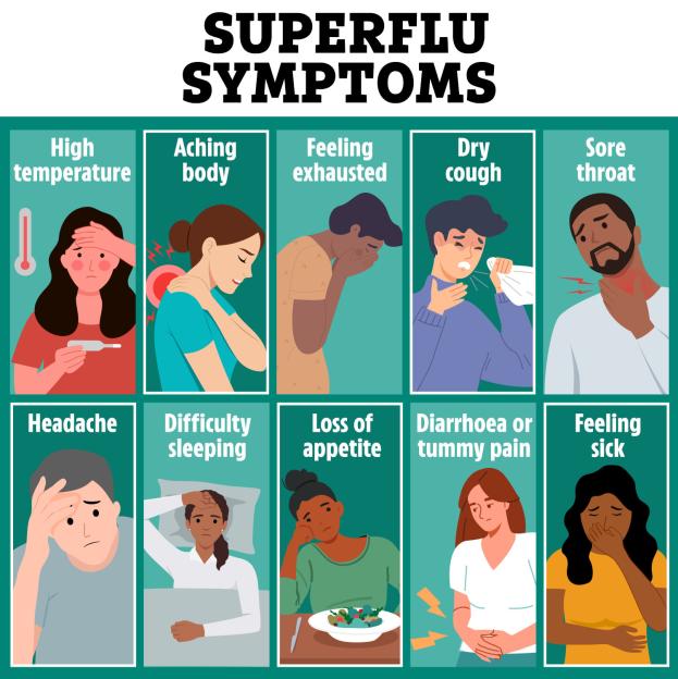 Illustration of common Superflu symptoms including high temperature, aching body, feeling exhausted, dry cough, sore throat, headache, difficulty sleeping, loss of appetite, diarrhea or tummy pain, and feeling sick.