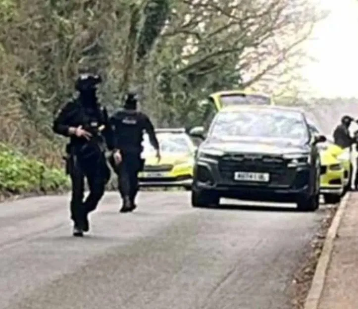 Boy, 16, arrested after girl stabbed at high school