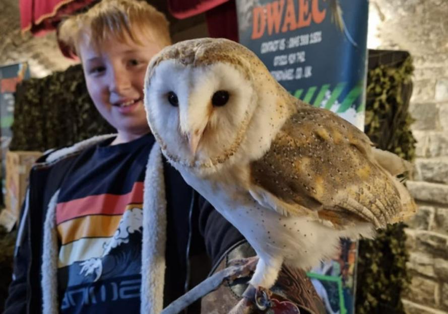 NINTCHDBPICT001054841046