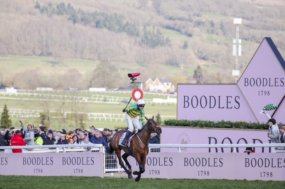Cheltenham Festival 2025 Day 4 Gold Cup