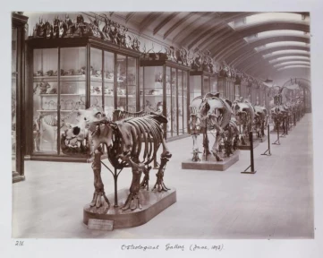 Hidden gallery reopens at top UK attraction today after being sealed for 80 YEARS – and it’s free to visit