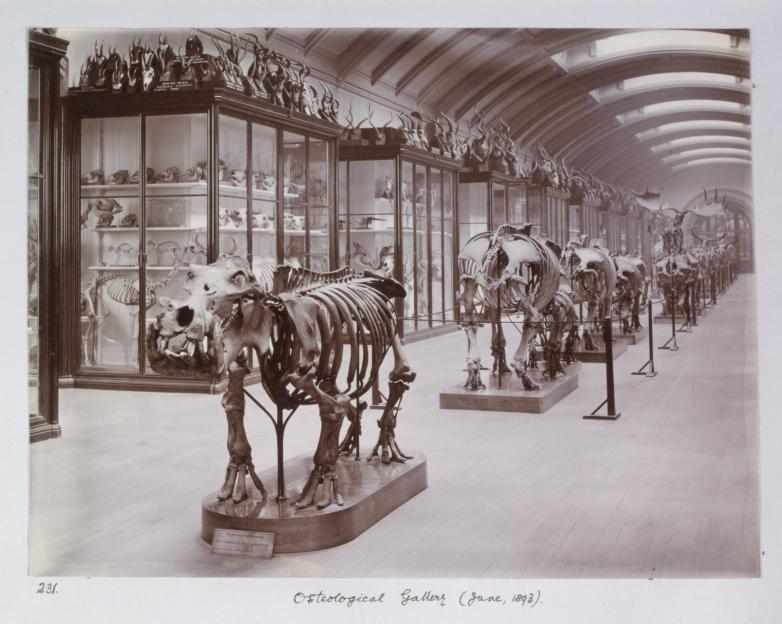 Hidden gallery reopens at top UK attraction today after being sealed for 80 YEARS – and it’s free to visit