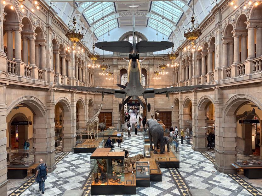 Museum interior with a plane suspended from the ceiling and taxidermied animals on display.