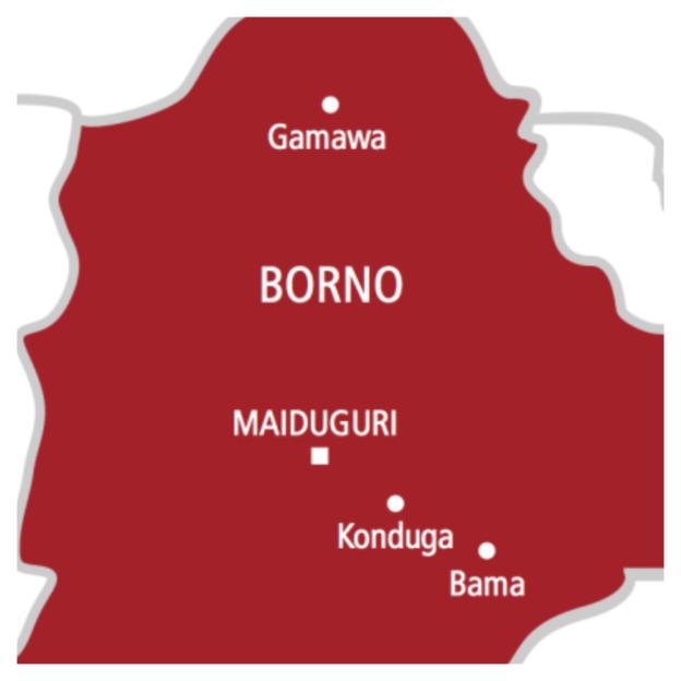 Airstrikes Take Down 50+ Terrorists Following Foiled Assault in Borno