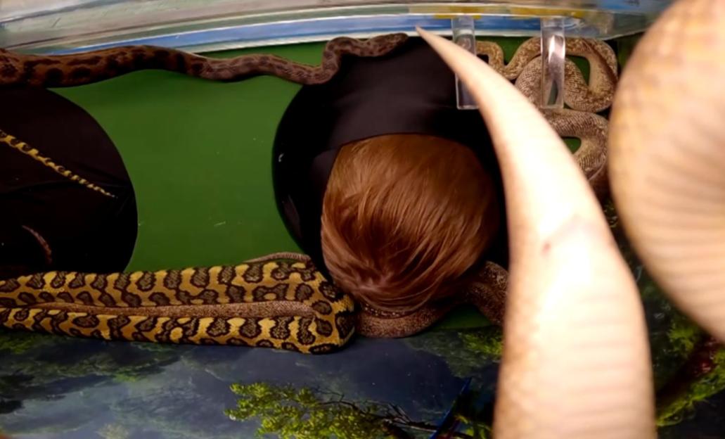 AngryGinge with his head inside a black container, surrounded by several snakes.