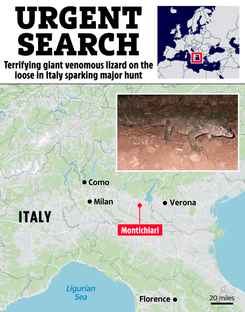 Collage of an illustration of a map of Europe with Italy highlighted, a photo of a lizard, and an illustration of a map of Italy showing the location of Montichiari.