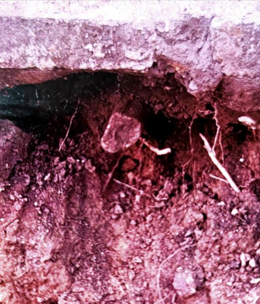 Human bones found in Ross Sedger's garden.