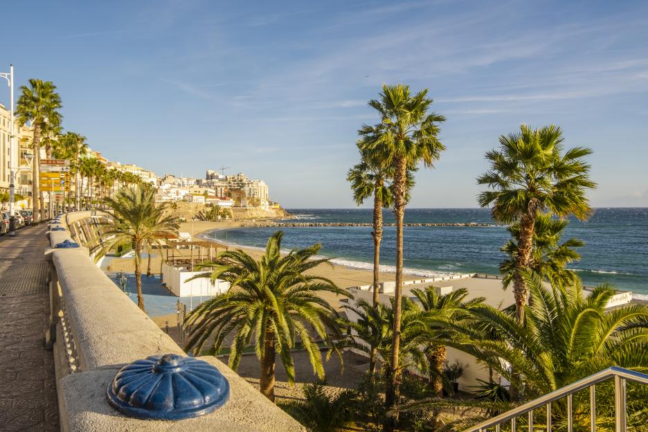 Ceuta coastline with palm trees, buildings, and a beach along the Mediterranean Sea.