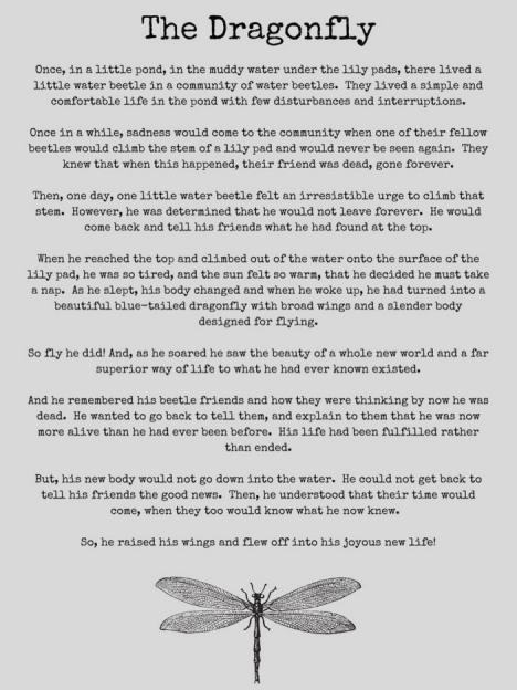 Illustration of a dragonfly with a story titled "The Dragonfly"