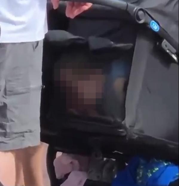 NINTCHDBPICT001075408939