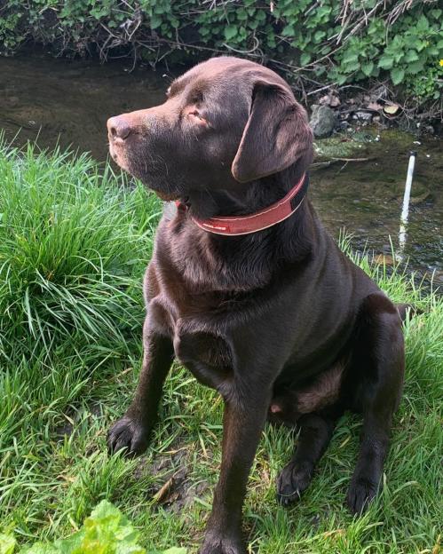 NINTCHDBPICT001059080561