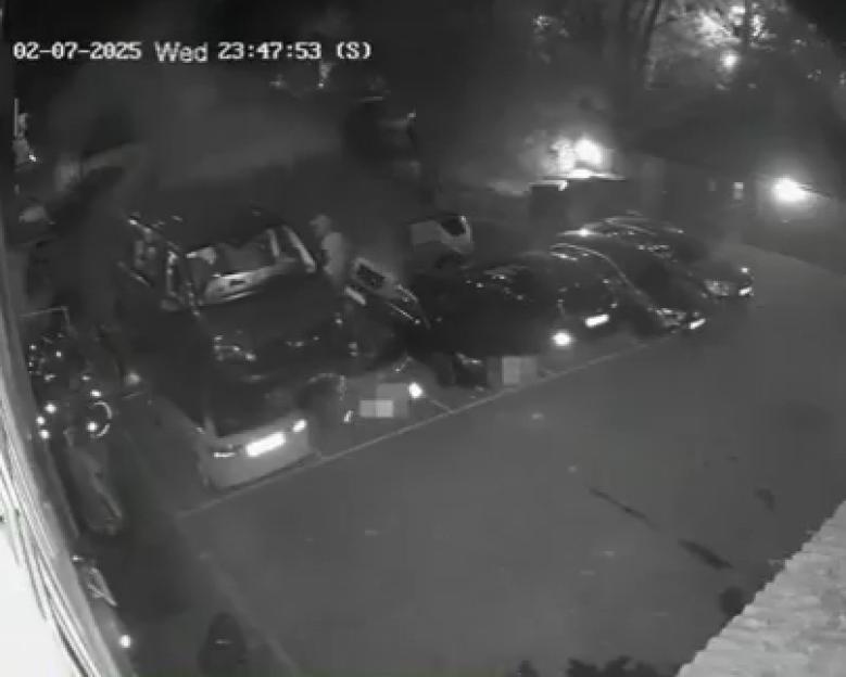 NINTCHDBPICT001073322618