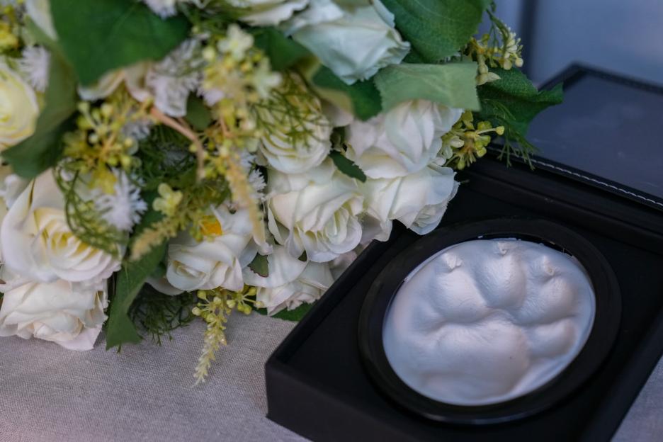 Paw print keepsake