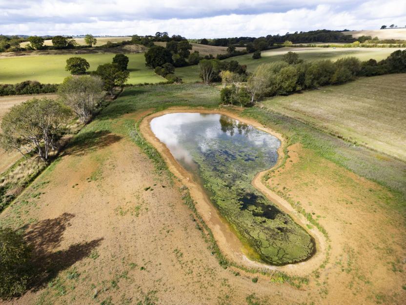Aerial view of a plot of land with an algae-filled lake.
