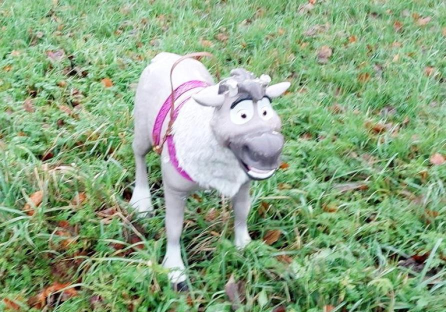 Police officers called to rescue 'abandoned dog' find toy reindeer