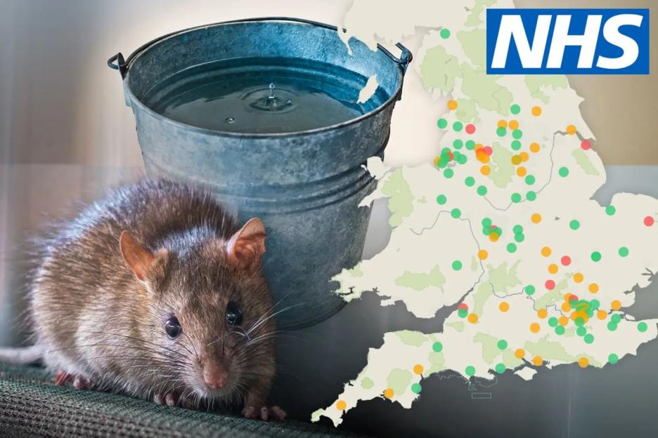 Shocking Conditions Exposed: England's Dirtiest Hospitals Uncovered with Reports of Rats, Bed Bugs, Asbestos, and Sewage Leaks