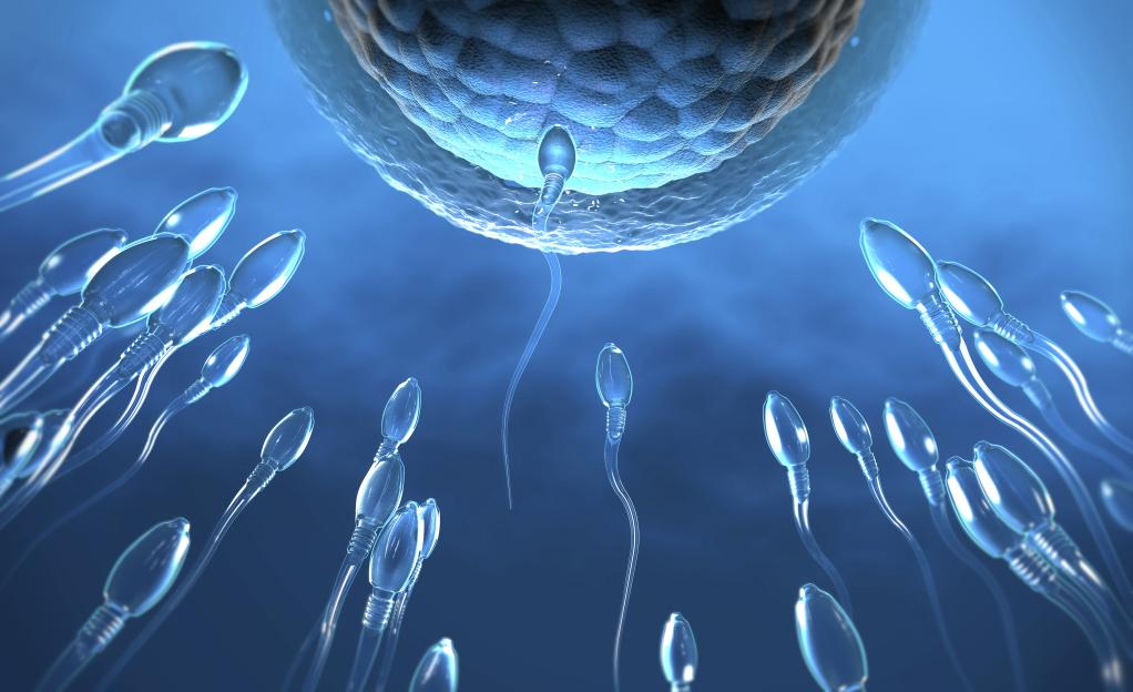 Revolutionary Male Birth Control Halts Sperm Production with '100% Effectiveness' – and It’s Reversible!