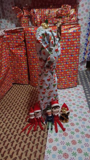 NINTCHDBPICT001047405481