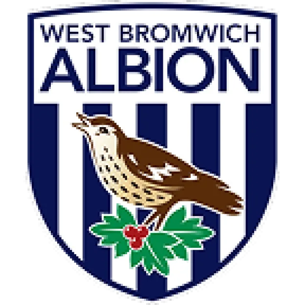 Efl-c-teamwest-bromwich-albion