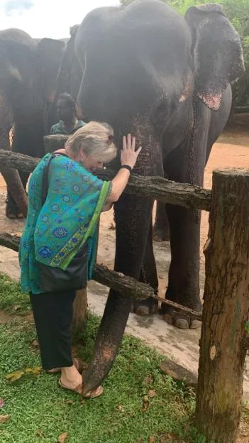 Bridget petting an elephant in Thailand.