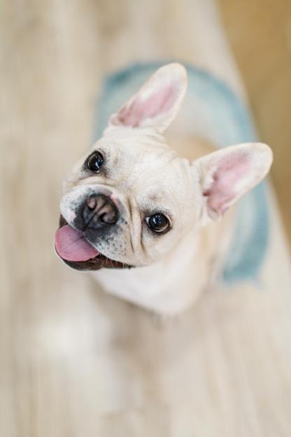 NINTCHDBPICT001056212136