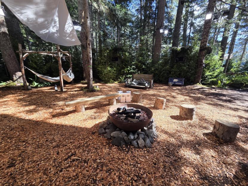A campsite in a forest clearing with a fire pit, wooden bench, tree stump seats, hammocks, and a "Bear Locker" storage box.
