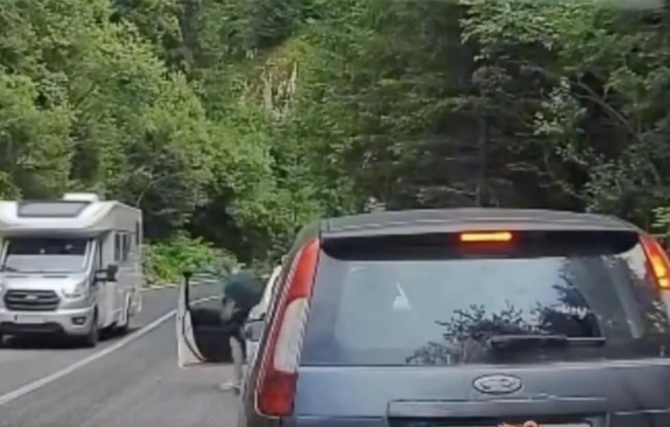 VIDEO: Moment wild bear creeps up on distracted tourist taking selfies