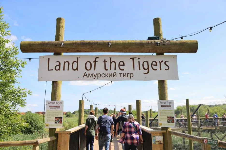 Visitors walking through the Land of the Tigers exhibit at Yorkshire Wildlife Park.