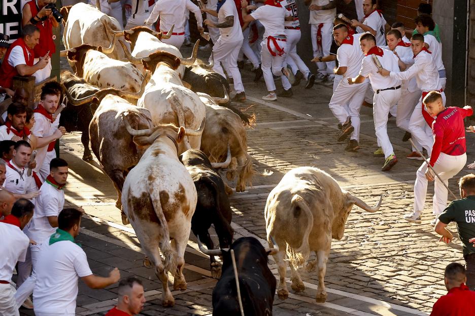 Running of the Bulls at Pamplona's San Fermin festival