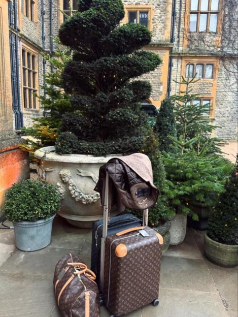 Louis Vuitton luggage and a jacket sit among potted evergreens outside a stone building.