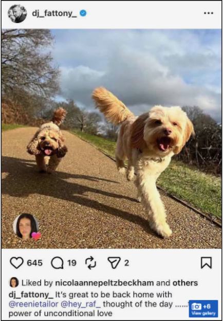DJ Fat Tony's Instagram post showing two fluffy dogs running on a path.