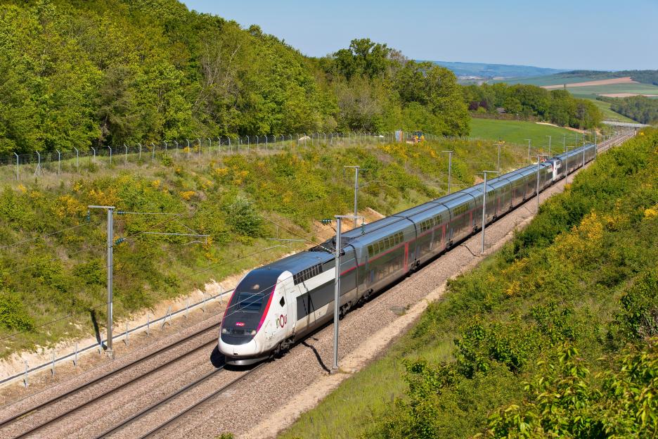 Train Company Unveils Adult-Only Carriages – No Kids Allowed!