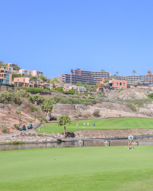 NINTCHDBPICT001072108201