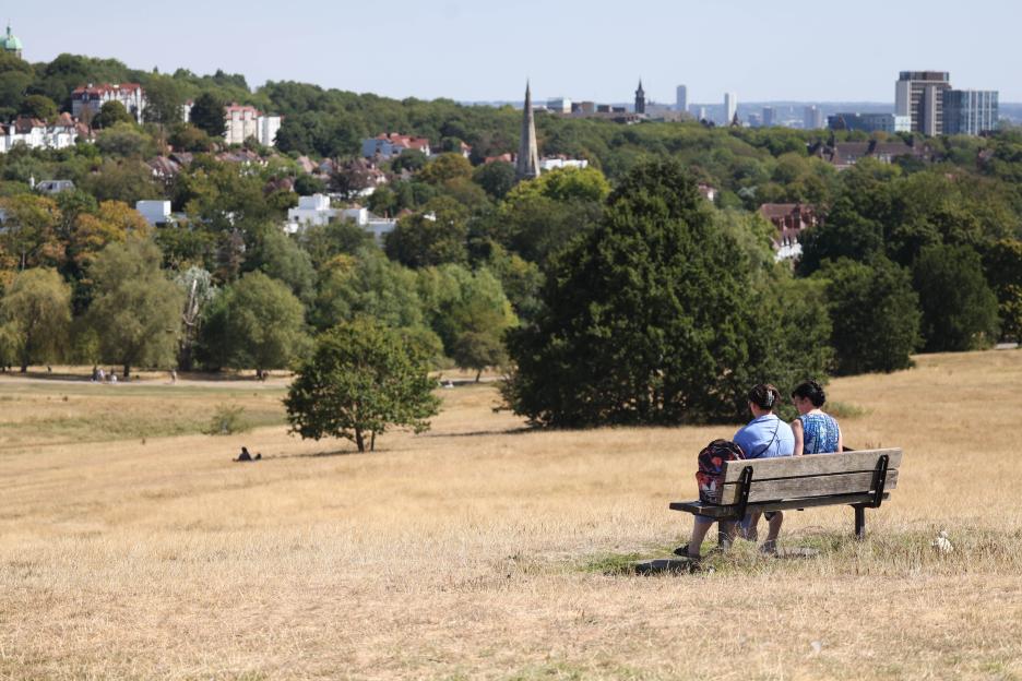 Two people sitting on a bench in a field of dry, yellowed grass in London.