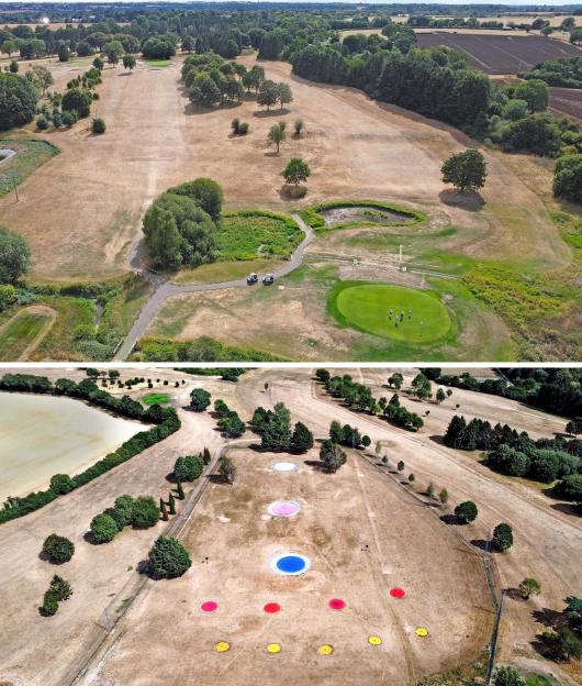 Collage of aerial views showing drought-affected golf courses.