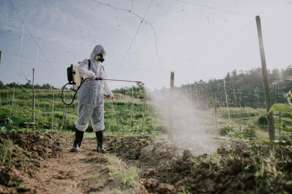 UK Considers Ban on Controversial Weedkiller Linked to Cancer – Could Cost You £5,000!