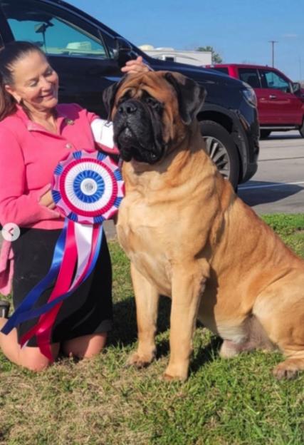 NINTCHDBPICT001064220514