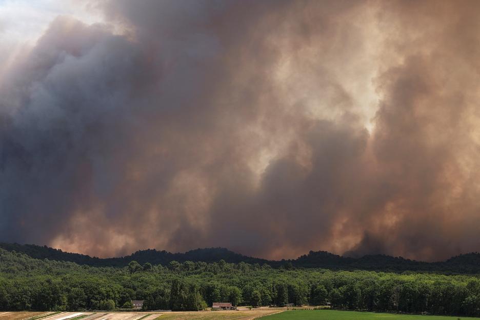 French firefighters battle Fontainebleau forest blaze near Paris